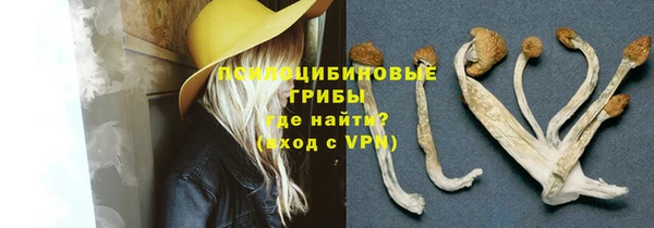 твердый Бородино
