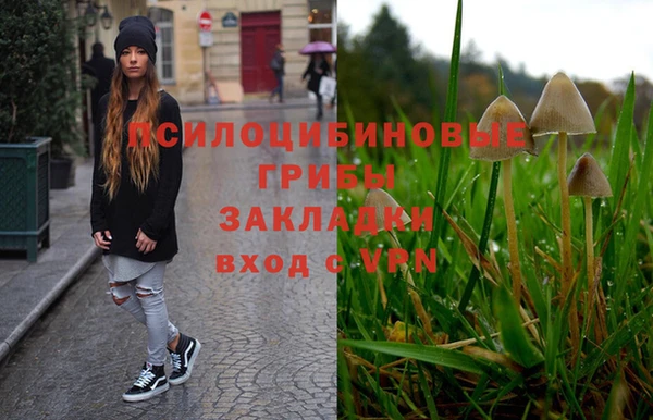 твердый Бородино