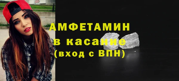 твердый Бородино