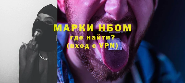 твердый Бородино