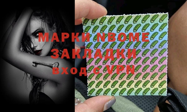 твердый Бородино
