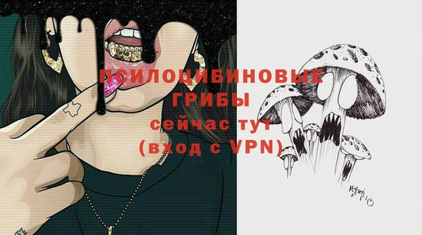 твердый Бородино