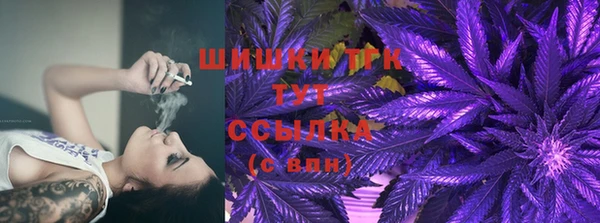 твердый Бородино