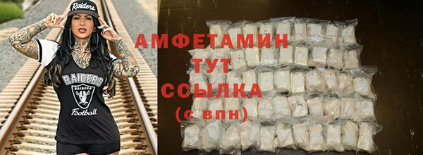 твердый Бородино