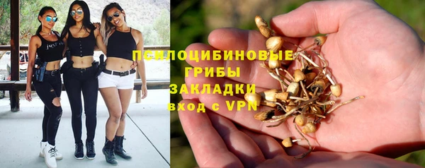твердый Бородино