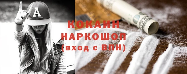 твердый Бородино