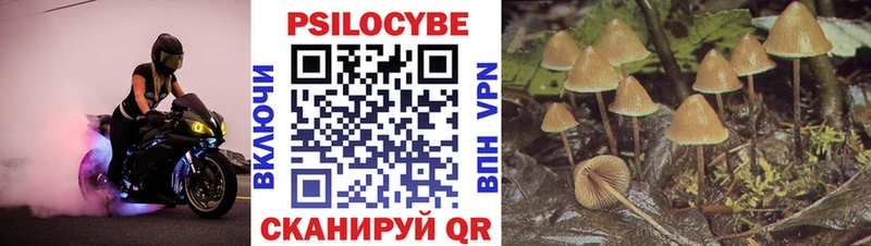 Галлюциногенные грибы мицелий  Рыбинск 